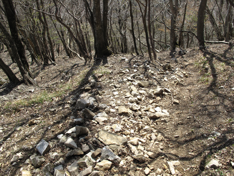 20140502hike (286)
